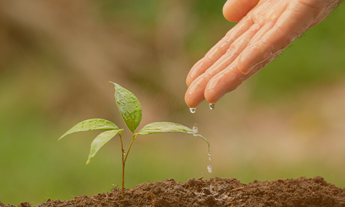 خدمات شماره 2