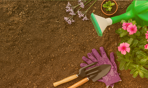 محصولات شماره 3